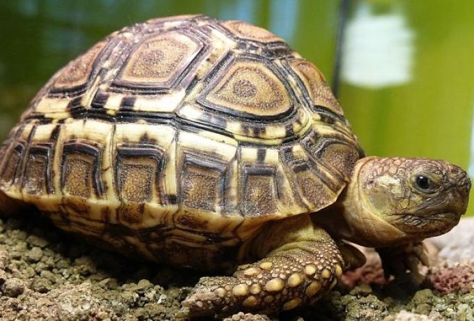 Qu’est-ce que la prévoyance et pourquoi est-elle indispensable ?